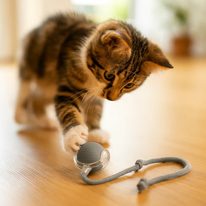 Kattelegetøj Bold med reb ⎜ Selvunderholdning for katte gennem spring og bidestyrke