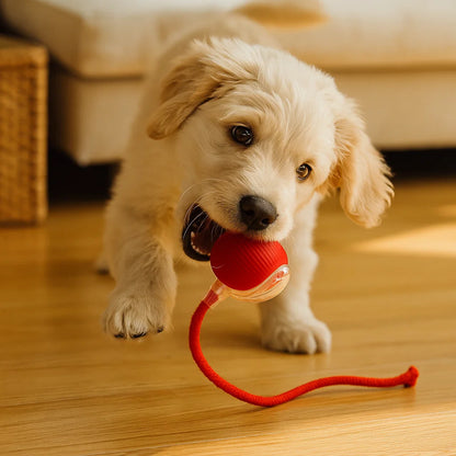 Hundelegetøj Bold med reb ⎜ Bidfast springbold til selvunderholdning og aktivitet for hunde
