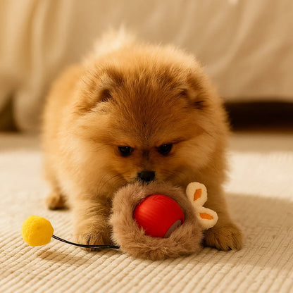 Hundelegetøj Bold med reb ⎜ Bidfast springbold til selvunderholdning og aktivitet for hunde