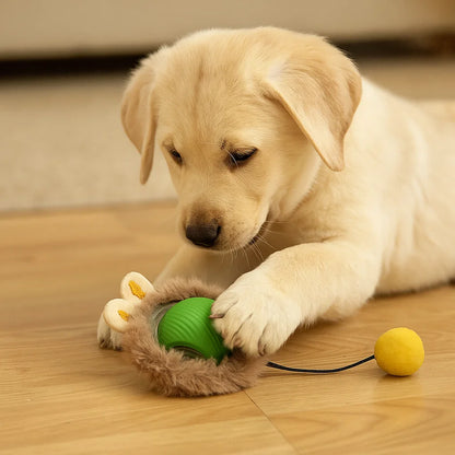 Hundelegetøj Bold med reb ⎜ Bidfast springbold til selvunderholdning og aktivitet for hunde