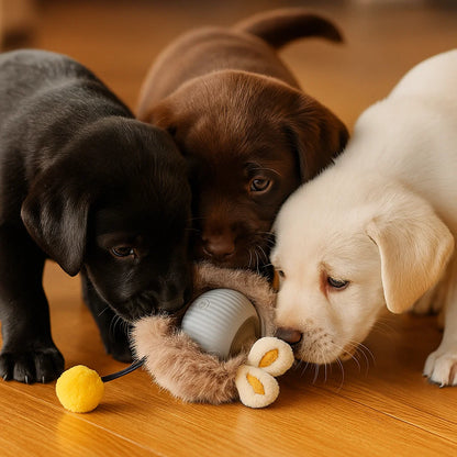 Hundelegetøj Bold med reb ⎜ Bidfast springbold til selvunderholdning og aktivitet for hunde