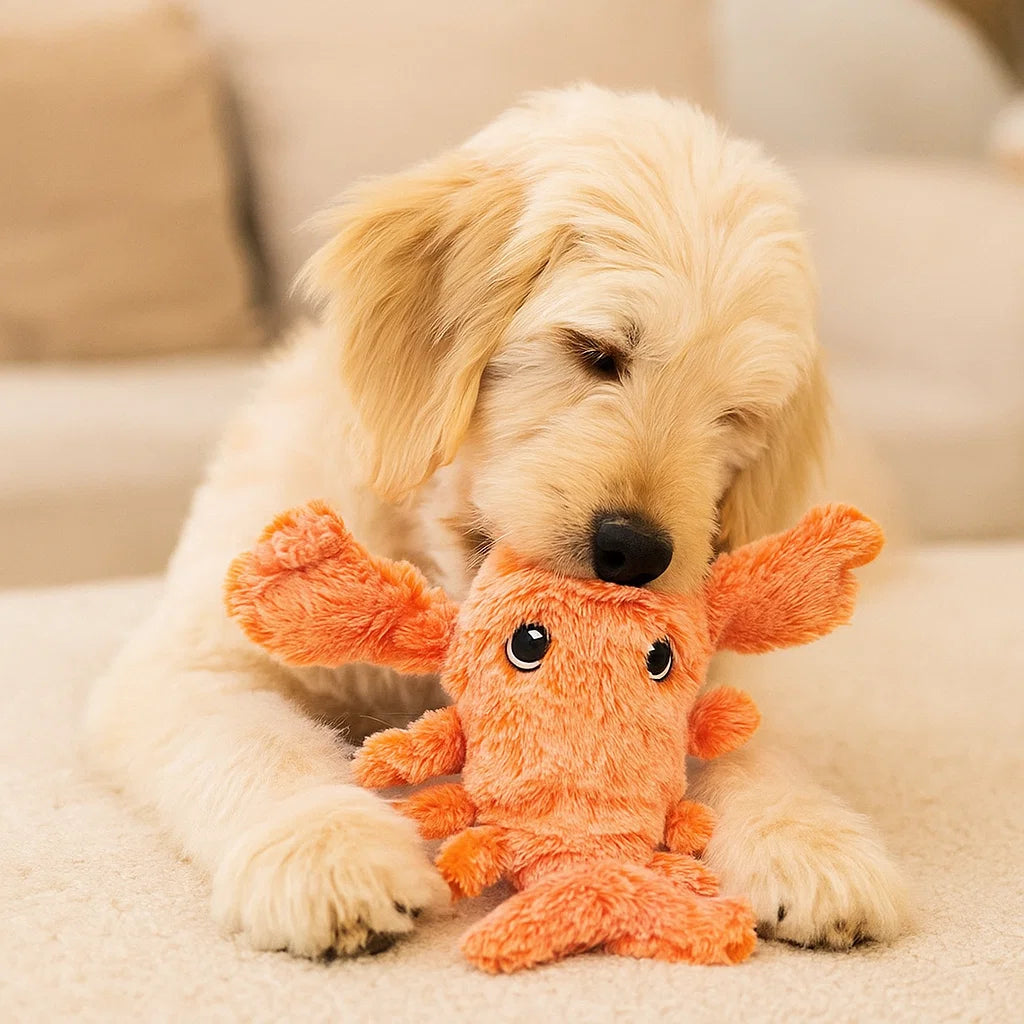 Hundelegetøj Plush Shrimp ⎜ Biting and Active Play