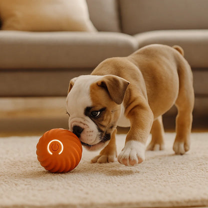 Hundelegetøj Automatisk bold ⎜ Bid og selvstændig leg
