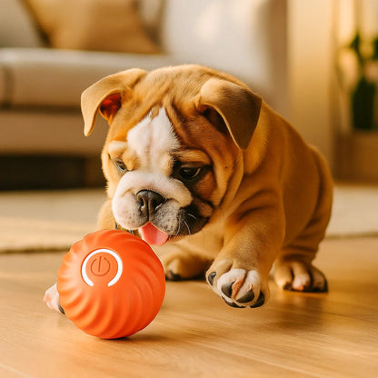 Hundelegetøj Automatisk bold ⎜ Bid og selvstændig leg
